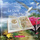 Sonatine(Various)
