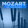 Piano Concerto No. 21 in C Major, K. 467 "Elvira Madigan": II. Andante