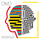Isotype - Single Mix