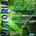 Radio waves (radio edit)