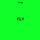 Fly