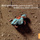 Concerto in D major for piano and orchestra, K.175