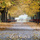 Music for Mindfulness