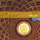 Videte Miraculum