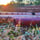 Cup of Tea at Sunset