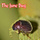 The June Bug