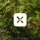 Extrasolar