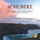 Fantasy in C Major, Op. 159, D. 934