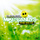Brand New Day (Radio Mix)