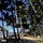 Islands