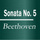 Sonata No. 5 C Minor Opus 10 2. Movement Adagio Molto