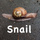Snail