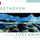 Symphony No. 1, Op. 21 In C Major / Adagio Molto: Allegro Con Brio