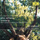 TreeSong for Gil Shaham: Doctor Hu and the Meta Sequoia