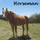 Horseman