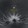 Sleeping Lotus - Tom Trago's Sixtine Remix