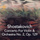 Concerto for Violin and Orchestra No. 2, Op. 129: I