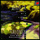 Symphony No. 3 in D minor/Movement I: Kräftig.  Entschieden