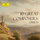 Violin Sonata No. 6 in G Major, BWV 1019: II. Largo