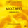1St Mvt. Molto Allegro - Symphony No. 40 in G Minor, K. 550