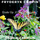 Etude Op. 25 No. 9 in G Flat Major, Butterfly