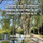 Symphony No. 8 in F Major, Op. 93: I. Allegro vivace e con brio