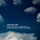 One and One - Enea Marchesini & Sammy Love Radio Edit