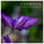 12 Études, Op. 25: No. 9 in G-Flat Major "Butterfly Wings"