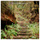 Sinfonia For Strings And Continuo In B Minor, RV169 - "Al Santo Sepolcro": 1. Adagio molto