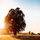 Mozart : Allegro In B Flat Major K.3