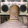 Bald - Artificial interlect...