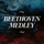Beethoven Medley: Piano Sonata, Op. 13, No. 8: I. Grave - Allegro di molto e con brio / “Für Elise”, WoO 59 / Symphony No. 5, Op. 67: I. Allegro con brio / Symphony No. 7, Op. 92: II. Allegretto / Symphony No. 9, Op. 125: IV. Presto - Allegro assai