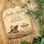 Live the Adventure - From "Disney Cruise Line"/Onboard the Disney Treasure