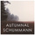 Myrthen, Op.25 - Version For Cello And Piano: 24. Du bist wie eine Blume