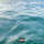 99 LOVES (BONUS TRACK)