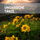 21 Hungarian Dances, WoO 1: No. 1 in G Minor. Allegro molto