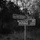 Hickory Creek - Acoustic