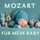Clarinet Concerto in A Major, K. 622: II. Adagio