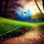 Piano Sonata C Major, Opus 1 2nd Movement