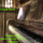 6 Morceaux Op 51 No 5 Romance