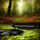 Piano Sonata C Major, Opus 1-1St Movement