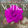 Notice - JAEL Remix
