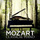 Piano Sonata No. 9 in D Major, K. 311: II. Andante con expressione