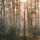 Waltz for Piano in A flat major, Op. 39, No. 15