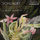 String quartet No. 10 in E-Flat Major, D. 87: I. Allegro moderato