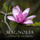 English Suite No. 1 in A Major, BWV 806: III. Courante I