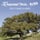 Droit comme un arbre (feat. Tryo)