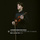 Violin Partita No. 2 in D Minor, BWV 1004: III. Sarabande