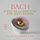 Violin Sonata No. 1 in G Minor, BWV 1001: I. Adagio