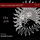 Symphony No. 40 in G Minor, K.550: I. Allegro